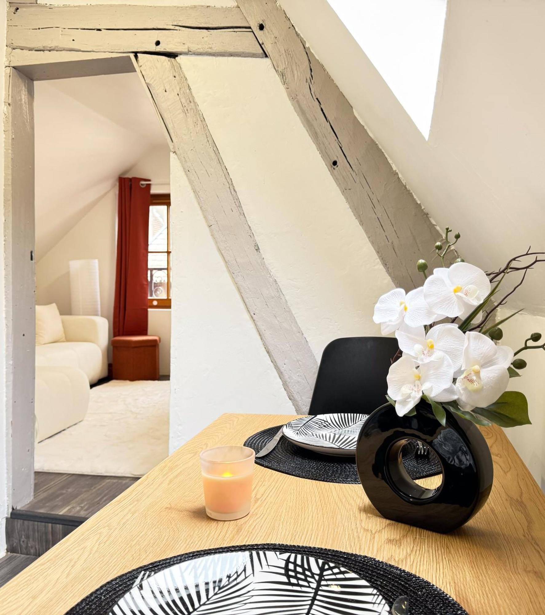 Apartment La Douceur - Hypercentre Pieton De - Cozy